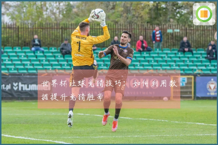 世界杯让球竞猜技巧：如何利用数据提升竞猜胜率