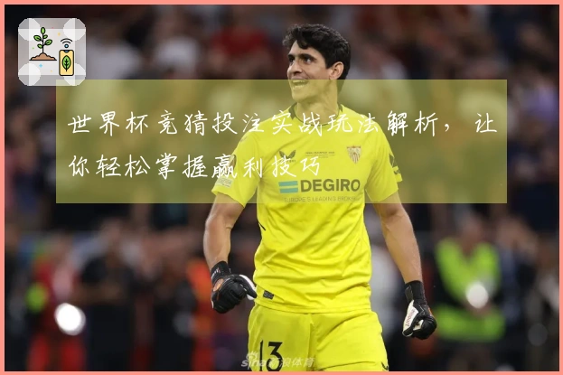 世界杯竞猜投注实战玩法解析，让你轻松掌握赢利技巧