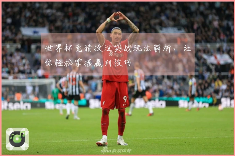 世界杯竞猜投注实战玩法解析，让你轻松掌握赢利技巧