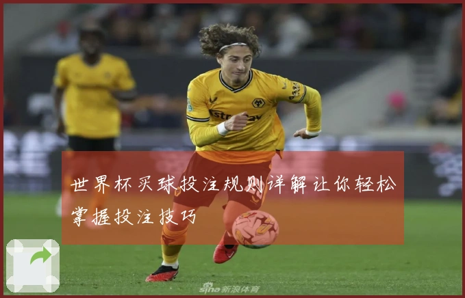 世界杯买球投注规则详解让你轻松掌握投注技巧