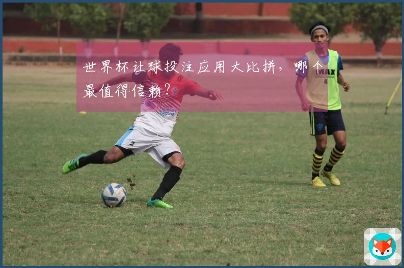 世界杯让球投注应用大比拼，哪个最值得信赖？